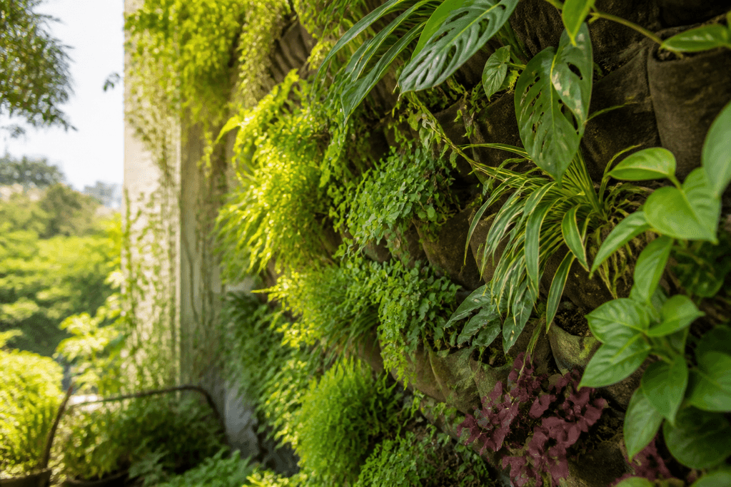 Paredes verdes en balcones biodiversidad en microespacios