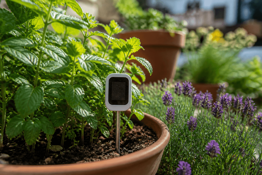 Riego eficiente con sensores simples para jardines urbanos